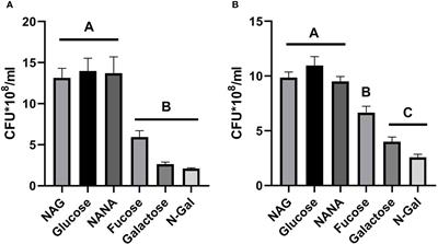 Intestinal mucus-derived metabolites modulate virulence of a clade 8 enterohemorrhagic Escherichia coli O157:H7